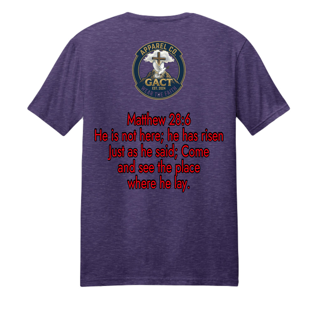 Team Purple He - PC455 - BACK